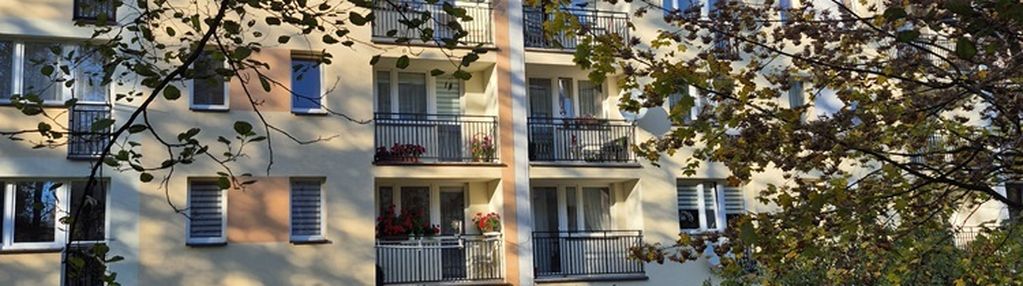 Mieszkanie wśród drzew