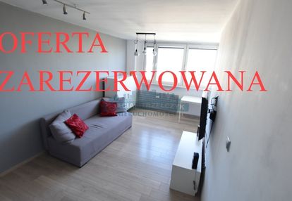 Zielony żoliborz