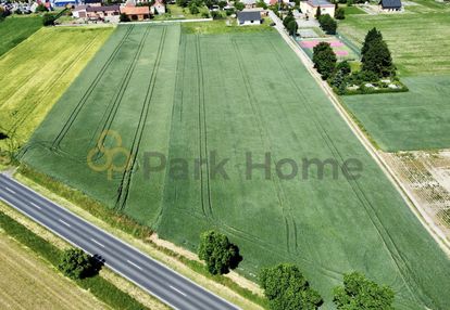 Działki budowlane w golinie wielkiej | 100 zł/m2