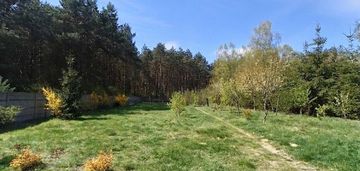 Działka budowlana ze ścianą lasu