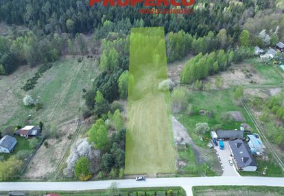 Działka 4600 m2, cisów, gmina daleszyce