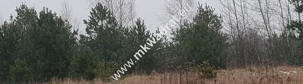 Działki budowlane z planem zagospodarowania