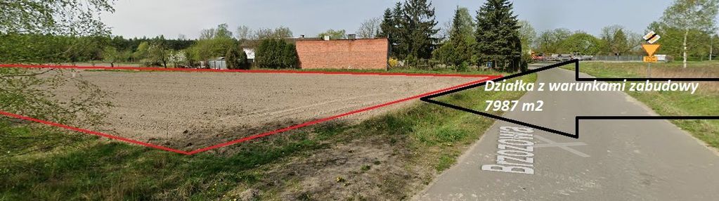 Działka rolna 79ar z wz okup wilki