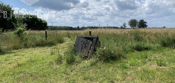 Zapraszam wszystkich obserwujących siedlisko