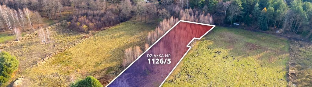 Działka arciechów, jezioro zegrzyńskie