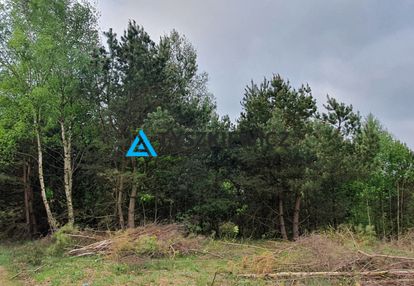 Smęgorzyno kokoszki działka budowlana