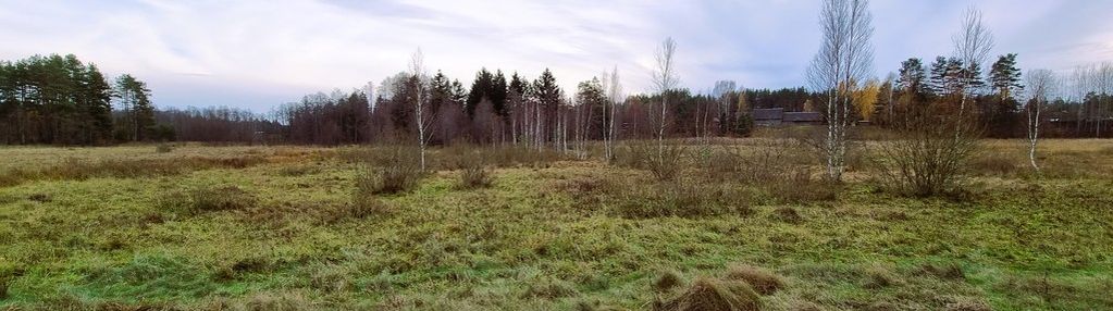 Gorczyca, gmina płaska, piękna działka