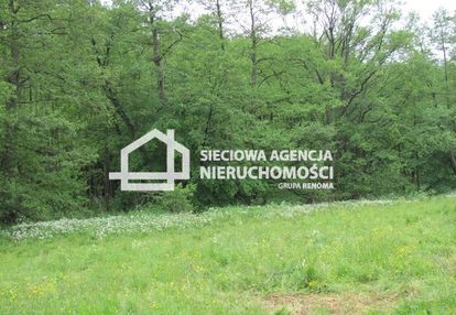 Duża działka budowlana 5600m2, marszewska góra
