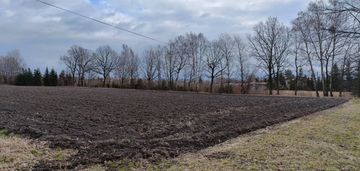 Zbytków, dk81, działka usługi