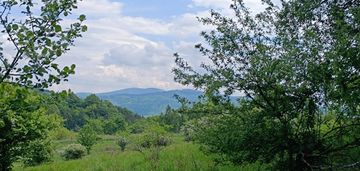 Widok na góry ,  piękny drzewostan. przy lesie !