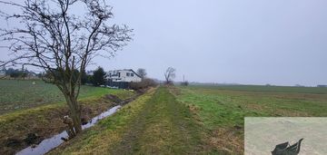 Działki 3000 m2 / warzymice
