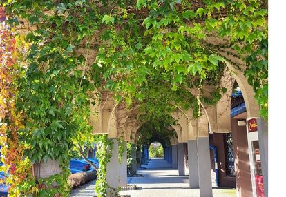 Mieszkanie z pięknymi widokami