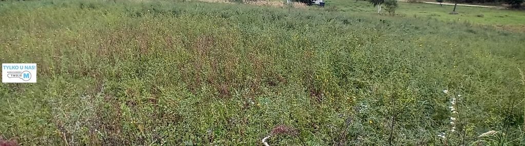 Widokowa nieruchomość przy górze leszczynowej!