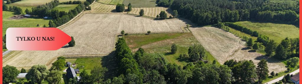 Malownicze działki wśród natury w niesułowicach