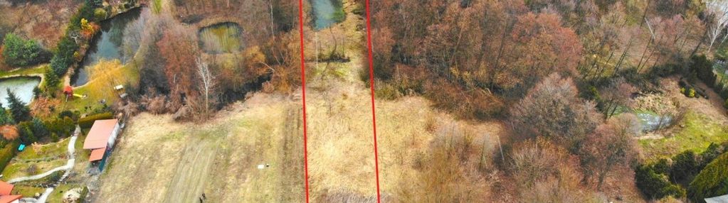 Działka ze stawem w babsku, 2400 m2