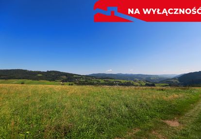 Działa w grywałdzie z możliwością uzyskania wz