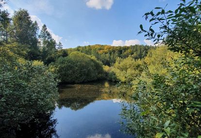Piękna działka z "oczkiem", w sąsiedztwie zabudowa