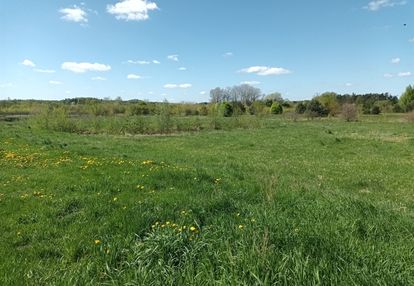Działka nad rzeką wkrą - sochocin