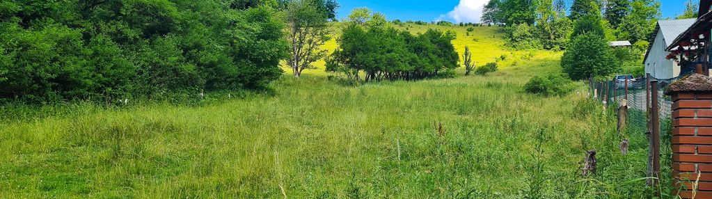 Duża działka na sprzedaż w miejscowości - kotów