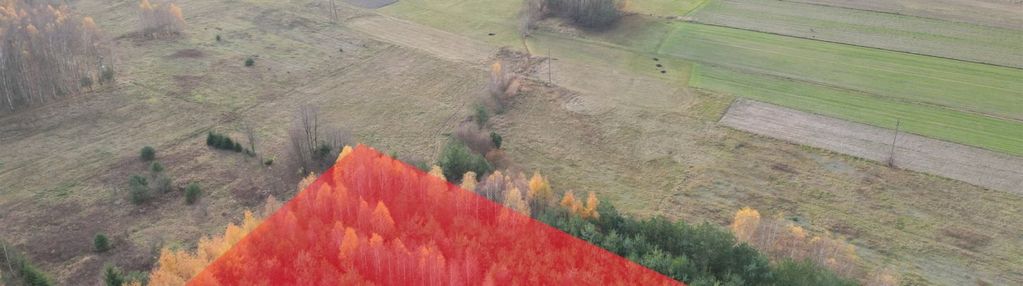 Działka 3661 m2, jedle, gm. łopuszno