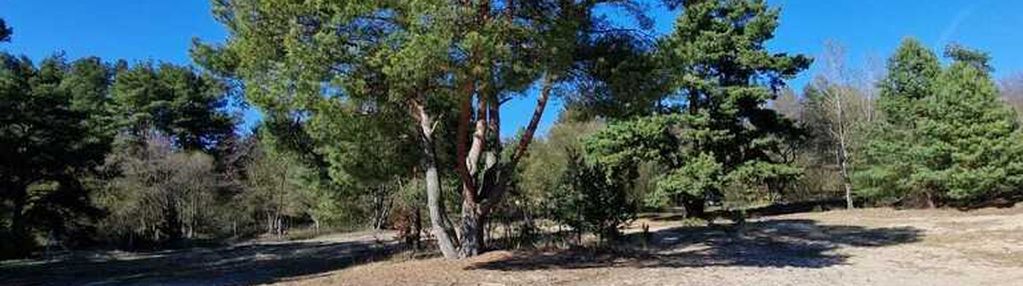 Urocza działka rekreacyjna 150 m od bugu