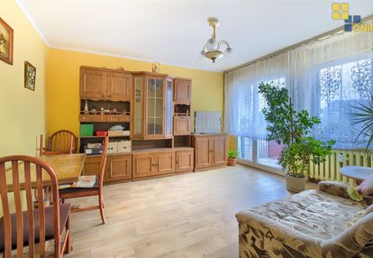 Kompaktowe m-4 na kasztanowej