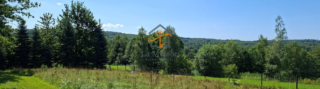 Klimatyczne siedlisko z lasem. gm. nowy wiśnicz.