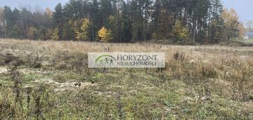 Kamień - działka przy zagajniku