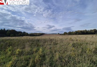 Budowlana działka z możliwością podziału w kłaczynie.