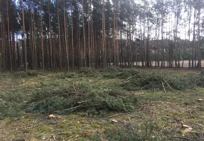 Działka na sprzedaż 7200m2