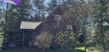 Domek za wałem bugu przy dzikiej plaży arciechów