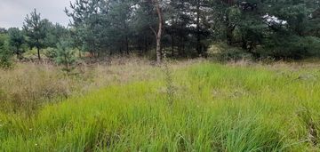 Działka w oborach /obrowo/ na leśnej polanie