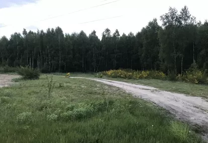 Działka na sprzedaż 6000m2