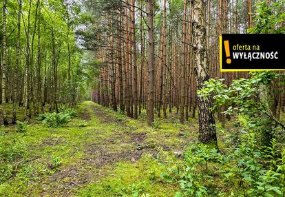 Działka leśna 1,92 ha w strzegomku koło rytwian
