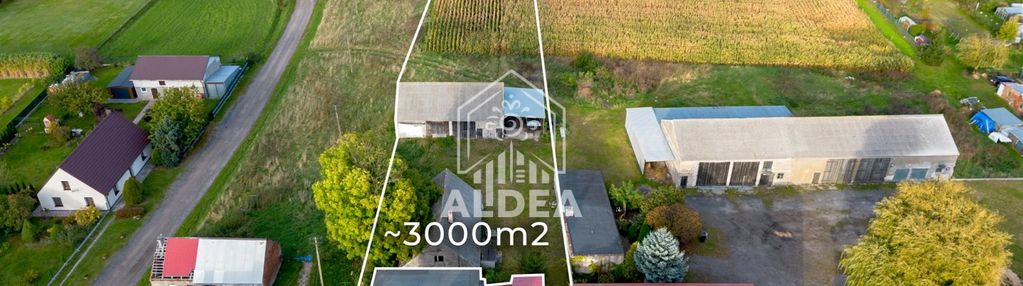 Duża działka 3000 m² z potencjałem w dziednie