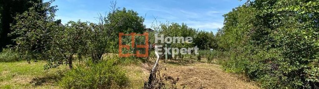 Okolice ul. niemkińskiej