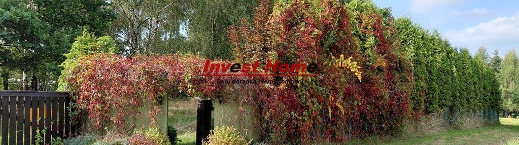 ✅ piękna działka 1000 m2 rydułtowy, kordeckiego✅