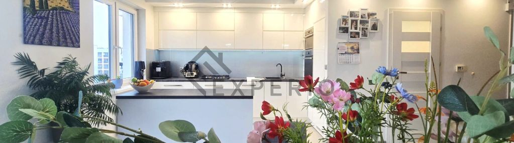 Centrum 5 pokoi/ do wprowadzenia bez nakładów