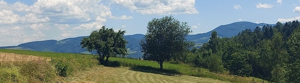 Beskid sądecki - 45 ar z możliwością zabudowy