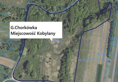 Działki rolne 12ha kobylany woj. podkarpackie