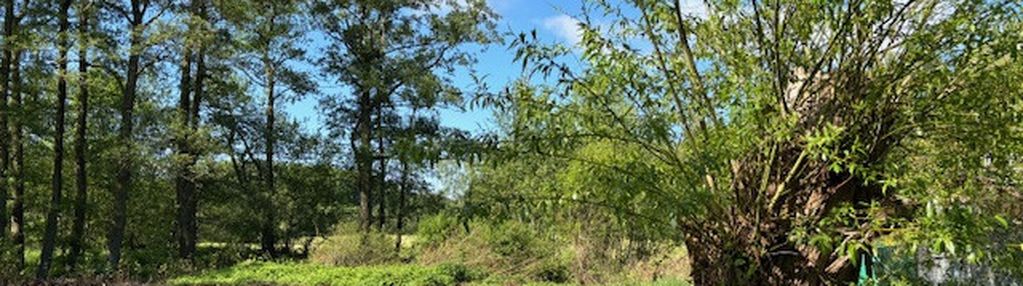 Urokliwa działka pod dom lub domki wakacyjne