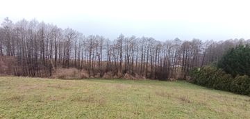 Działka rekreacyjna nad jeziorem