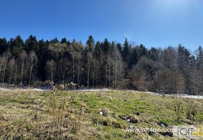 Duża działka na granicy z sączem w januszowej