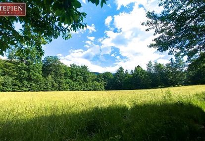 Działka budowlana z lasem 2,56 ha