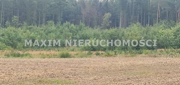 Działka w kępie gm sochocin porośnięta samosiejkam