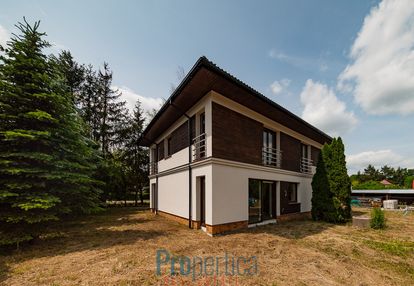 Nowoczesny dom wolnostojący, złotokłos