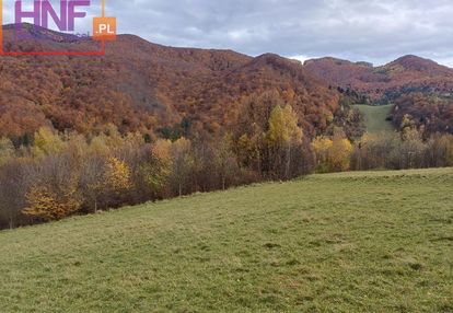 Działka rolno-leśna rytro 1,17ha połom niżna