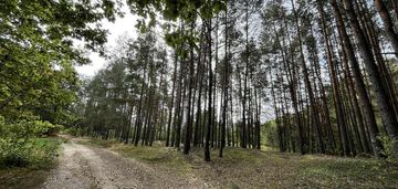 Działka rolna z samosiejkami