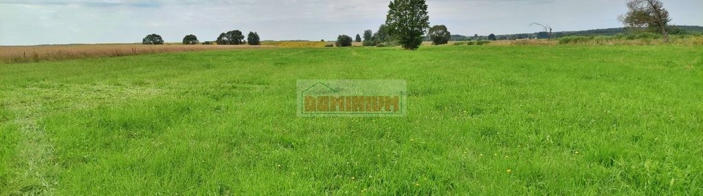 Działka, dom i las w "krainie otwartych okiennic"