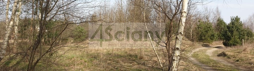 Działka w pobliżu puszczy mariańskiej bez prowizji